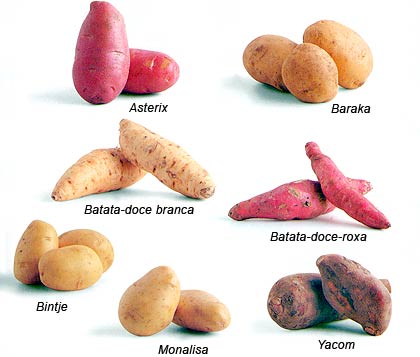 tipos-de-batatas.jpg