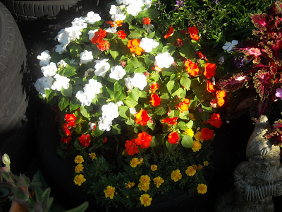 tire%2Bflowers%2B010.jpg