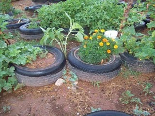 tire%2Bgarden%2Bmisc.jpg