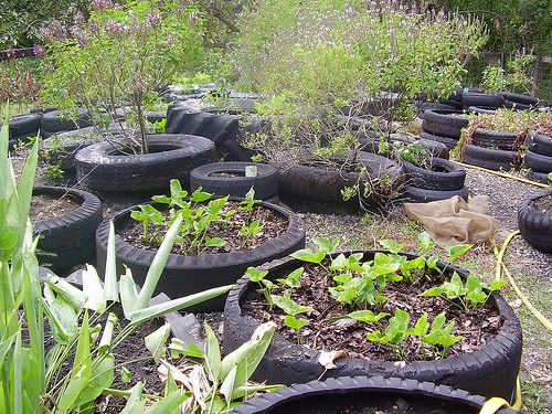tire-garden.jpg