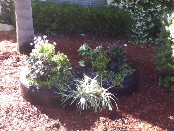 tire+garden4.jpg