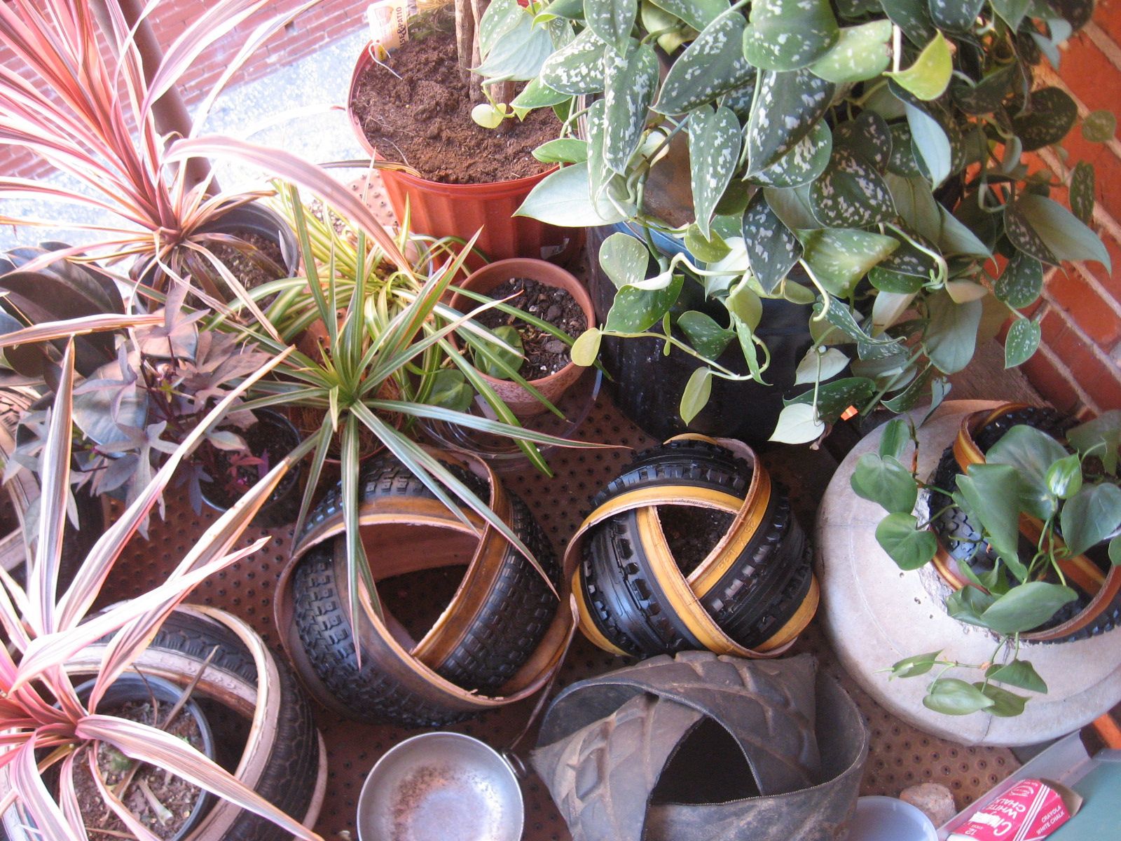 Tire+Plant+Fantasma+2.jpg