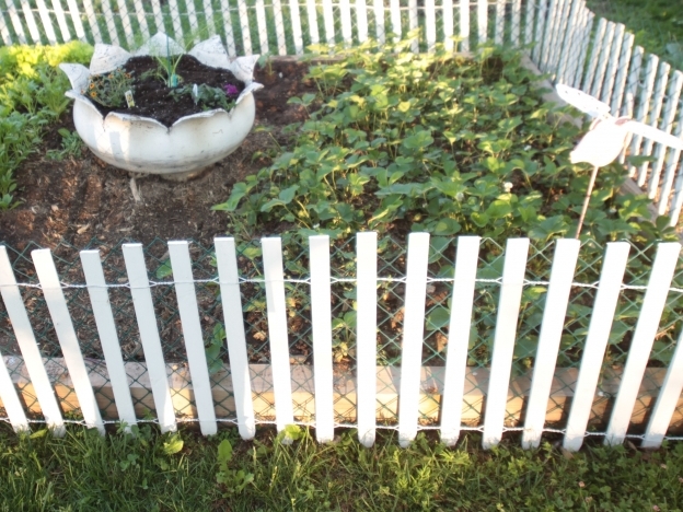 tire+planter+everystockphoto_Fisherga.jpg