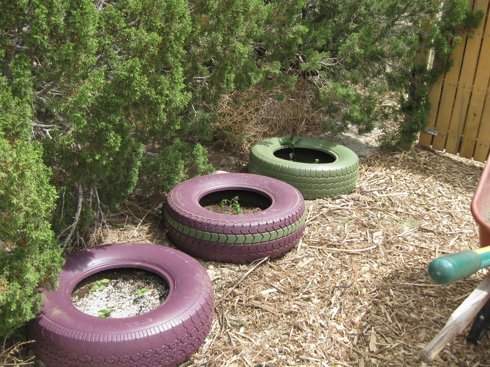 tire+planters+6-20-11.jpg