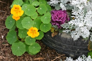 tire_planter_s1.jpg