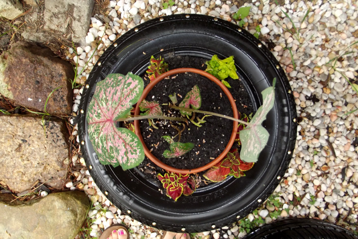 TireFlowerPotElbaValverde3.jpg
