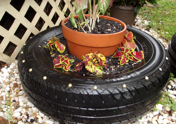 TireFlowerPotElbaValverde6.jpg
