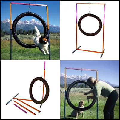 tirejump-layout.jpg