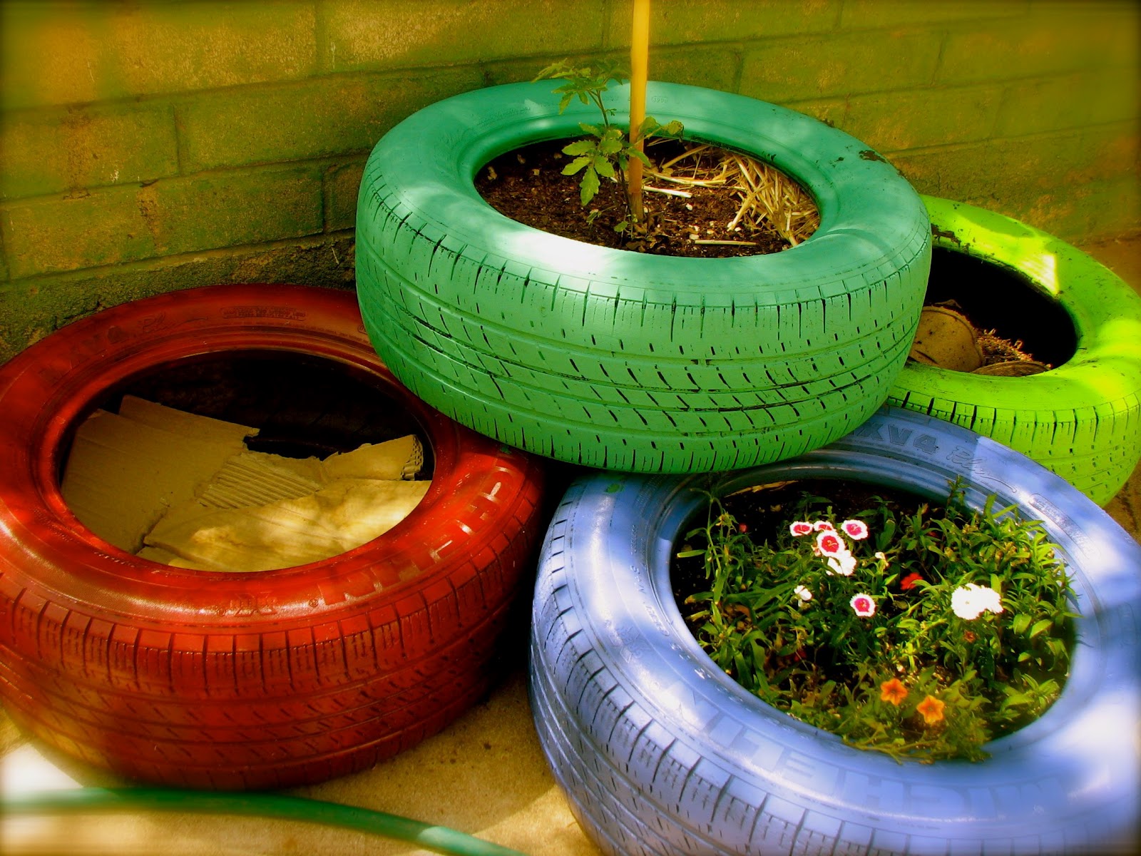 tires+and+flowers.jpg