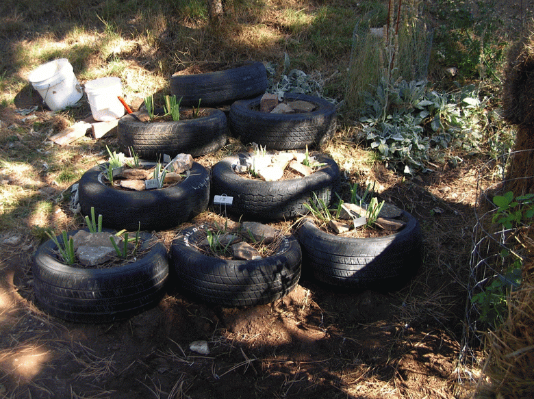 tires-garden.gif