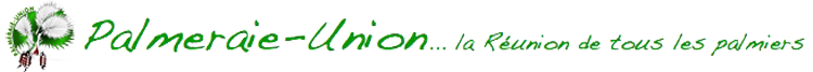 titre2.png