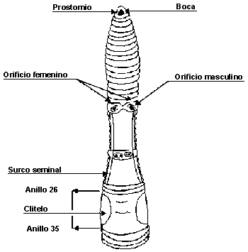 tkp5Yw.gif
