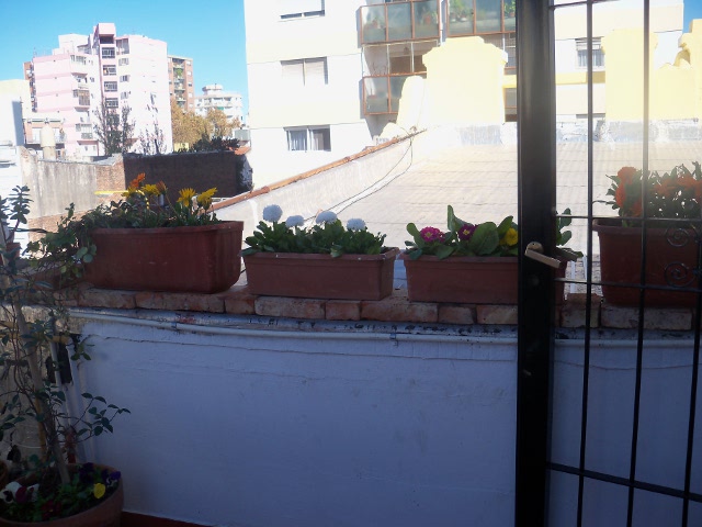 TMMh1013037Xho.jpg