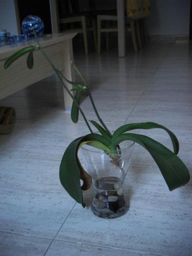 tn_PIC_0005.JPG