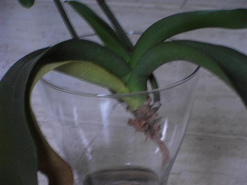 tn_PIC_0006.JPG