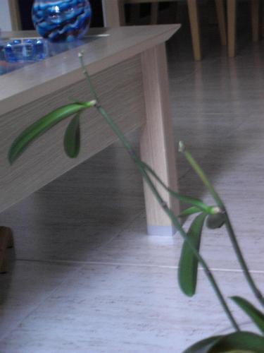 tn_PIC_0008.JPG