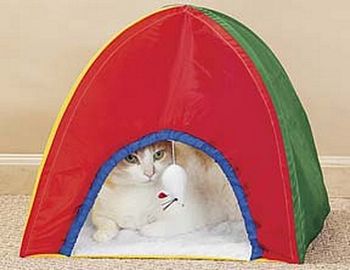 tn_tienda-gato.jpg