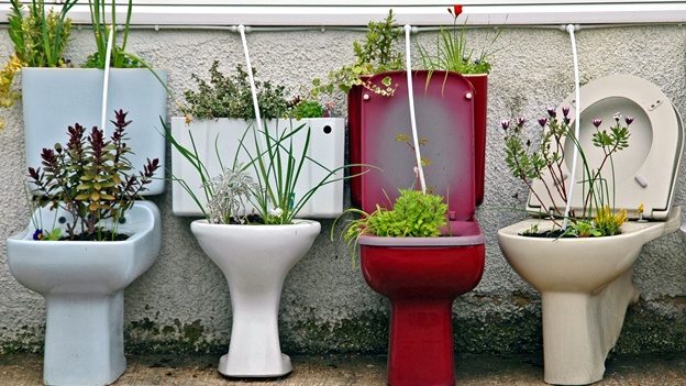 toilet-wc-excusado-maceta-decoracion.jpg