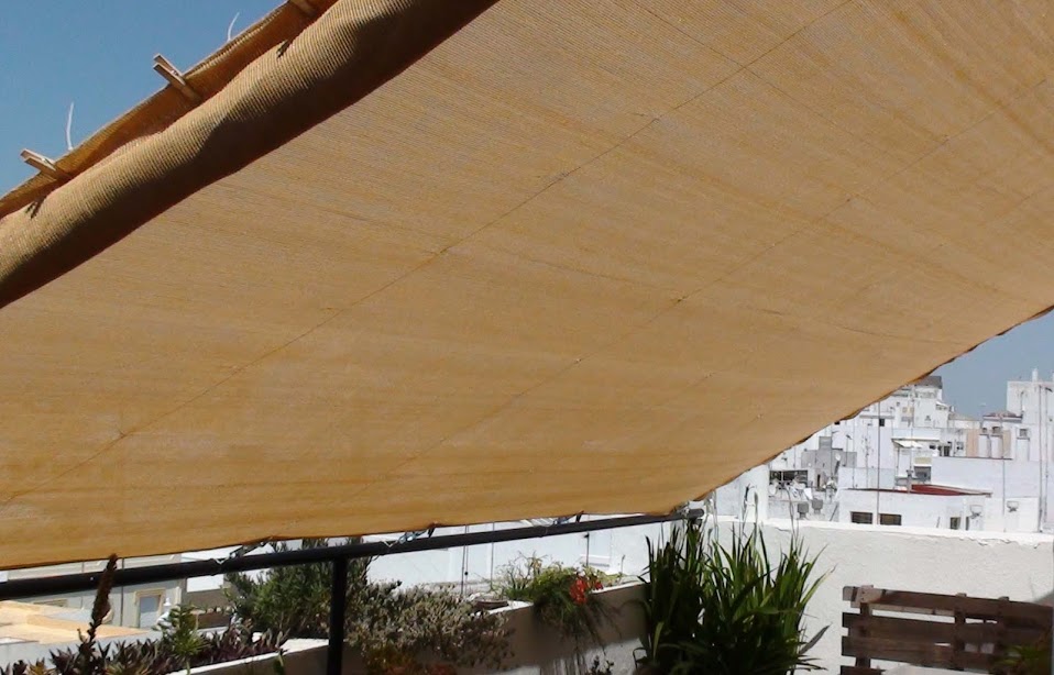 toldo.jpg