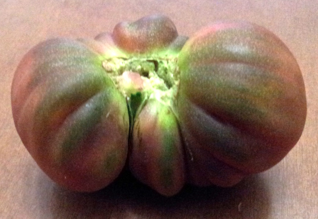 Tomate%20negro%20de%20Santiago01.jpg
