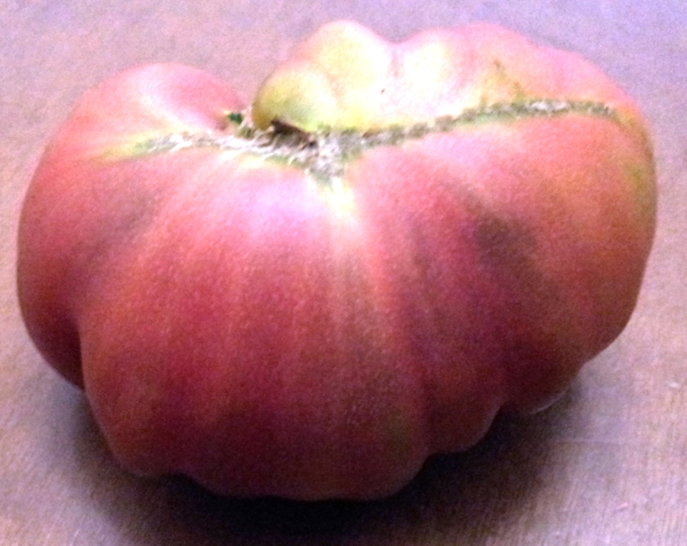 Tomate%20negro%20de%20Santiago02.jpg