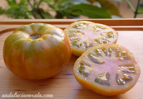 tomates-raf.jpg