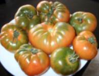 tomates_raf.jpg