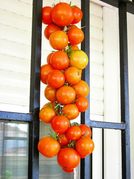tomates_ramallet_pequ.jpg