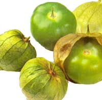 tomatillo.jpg