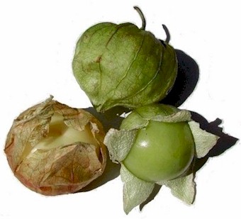 tomatillogs.jpg
