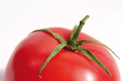 tomato.jpg