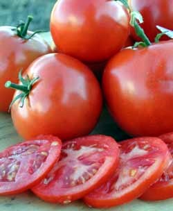 tomatomanitoba.jpg