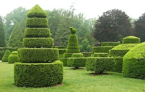 topiary_lngwd.lg.jpg