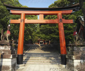 torii-puerta-frente_bxp134043.jpg