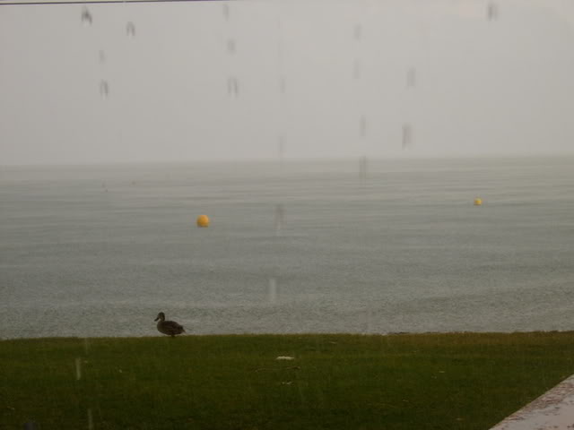 Tormenta.jpg