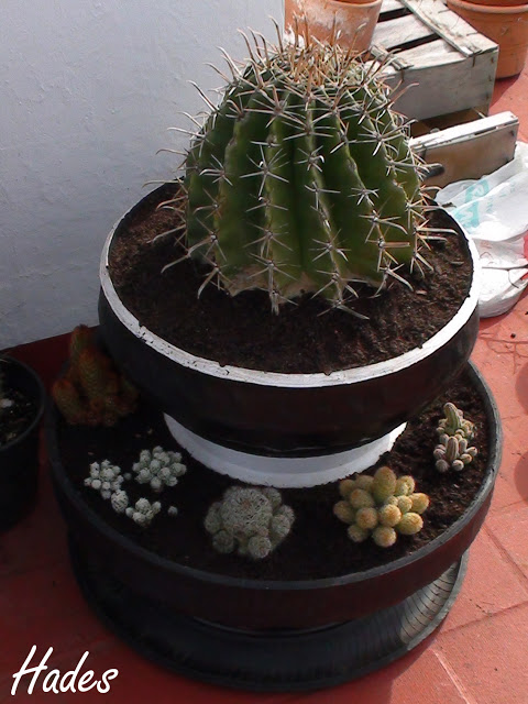 torre%2520cactus%25201.jpg