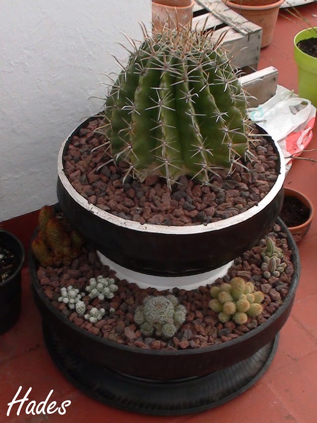 torre+cactus+2.jpg
