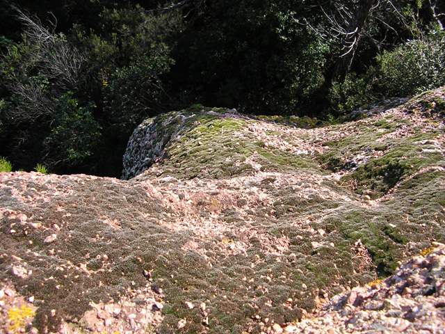 Torre_1_068.jpg