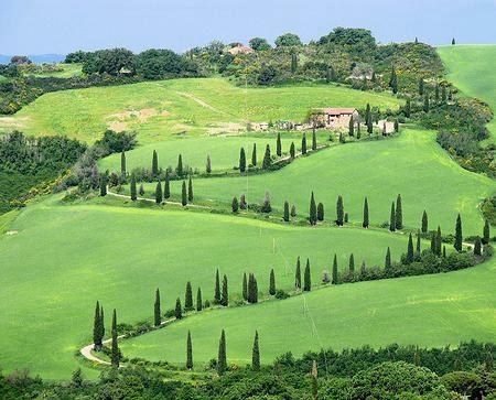 toscana_cipreses_limite.jpg