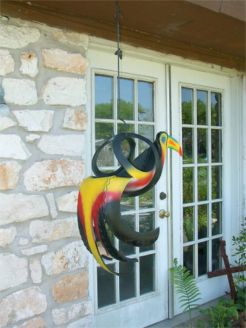 toucanback.jpg