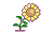 tournesol4.gif