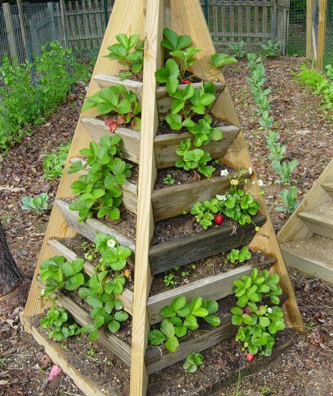 tower_planter.JPG