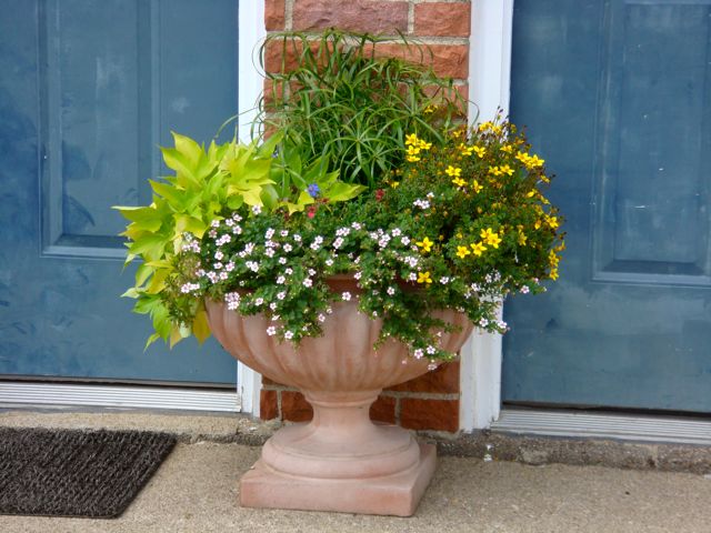 townhouse_flowers.jpg