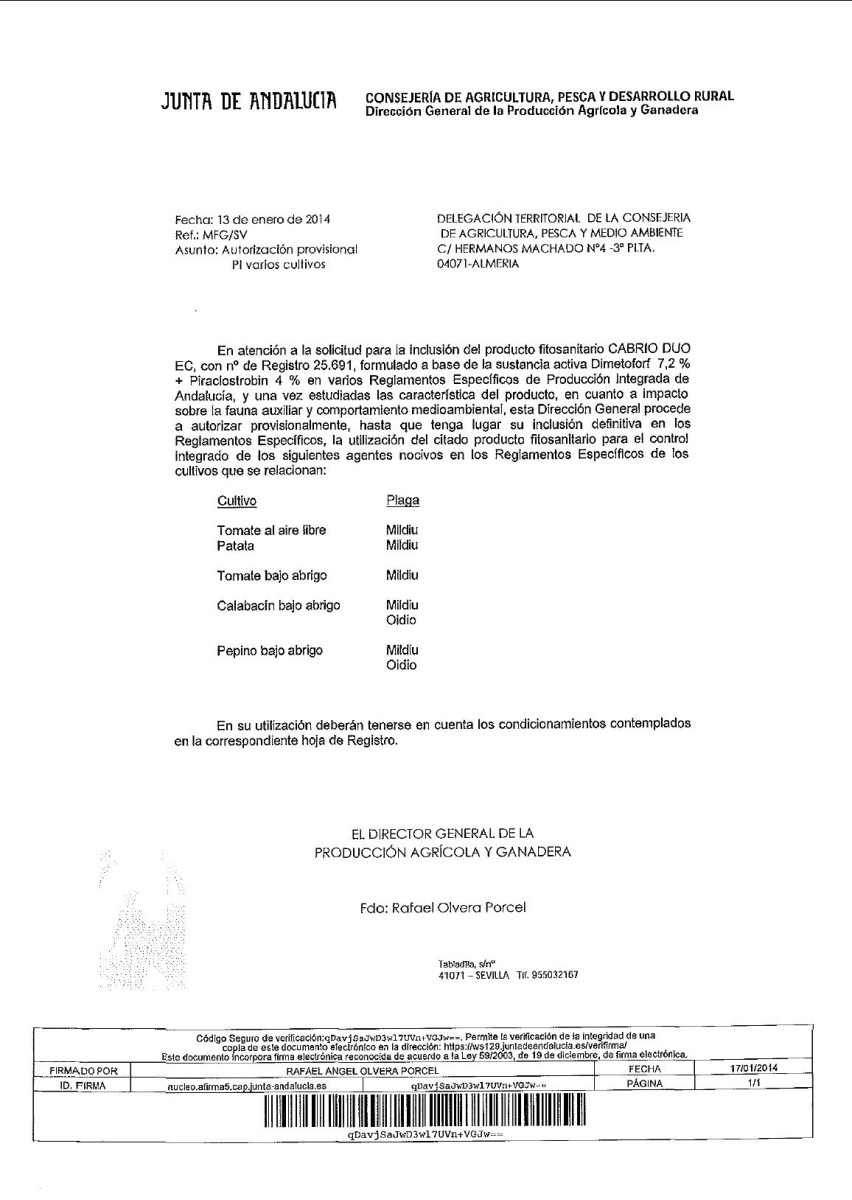 tp68.jpg
