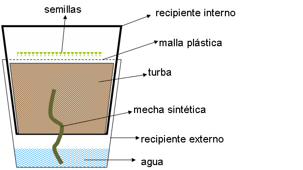 tQhJ4E2.jpg