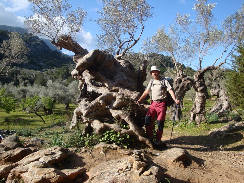 tramuntana-048.jpg
