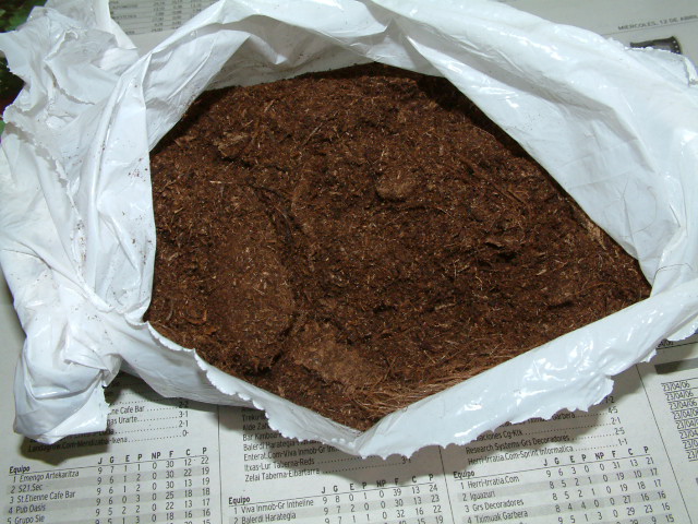 Transplante%20nep5.JPG