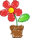 trasplante.png