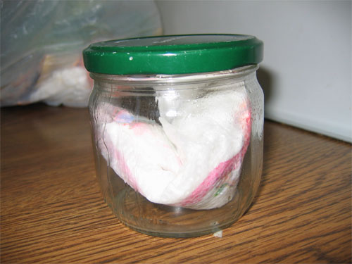Trasplante05.jpg