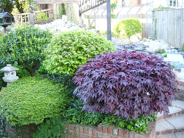 trees1.jpg